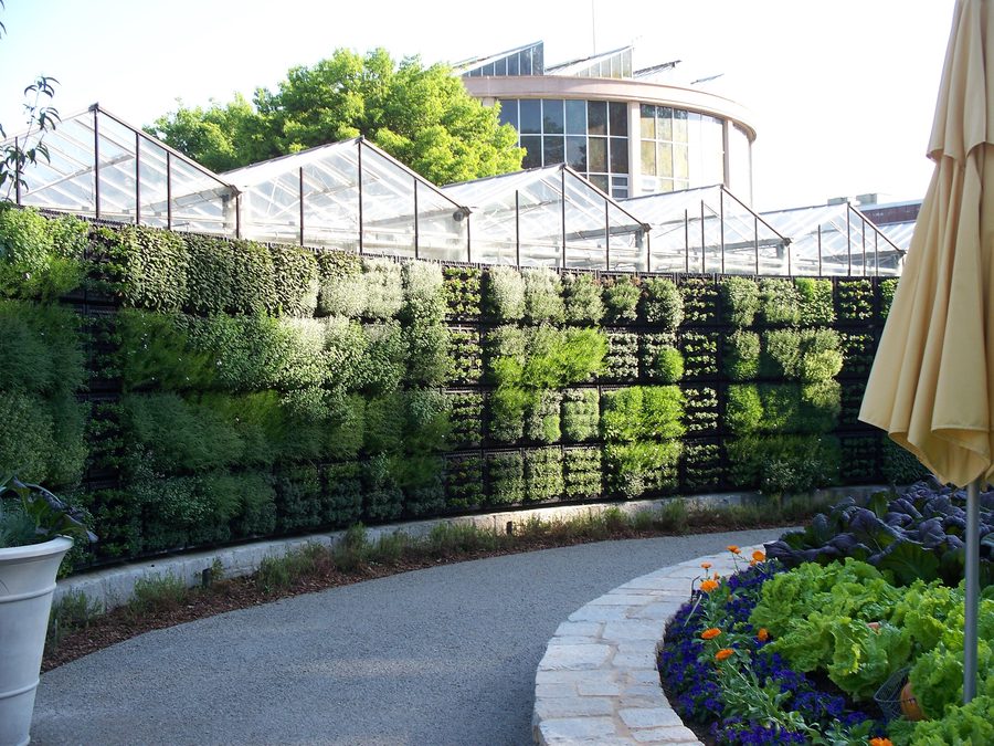 Planting detail in the Atlanta Botanical Garden Edible Garden.