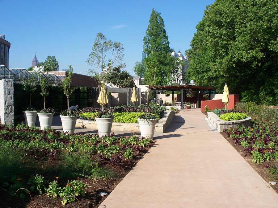 Visitor path through the Atlanta Botanical Garden Edible Garden.