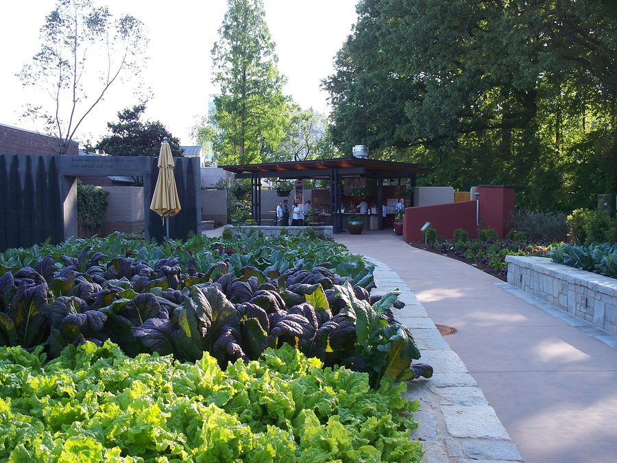 Built garden room and visitor space in the Edible Garden.