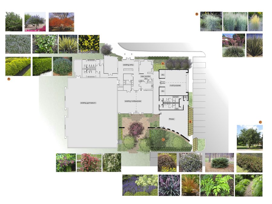 Courtyard planting plan and palette for Churchill Recreation Center.