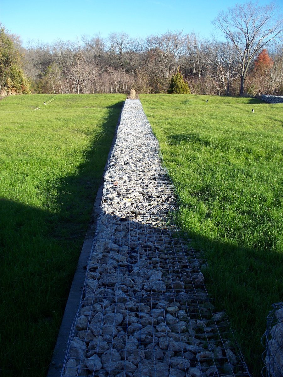 Prairie planting and civic approach at Prairie Creek Branch Library.