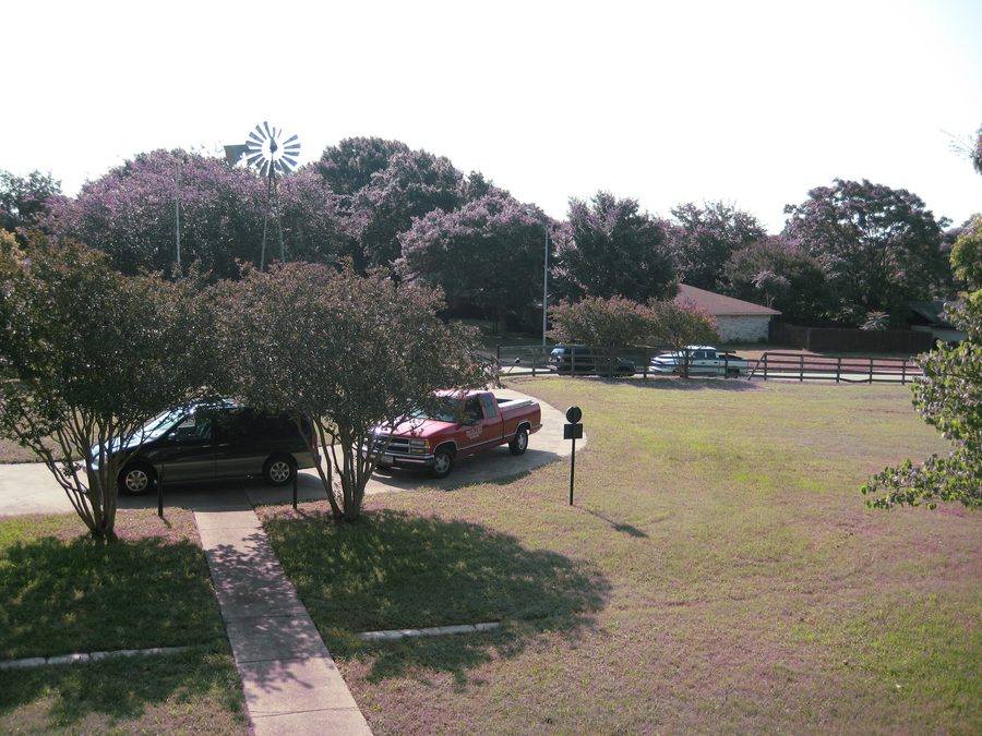 Existing conditions at Nance Farm.